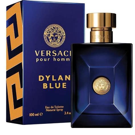 versace dylan blue pakistan|versace pour homme 100ml.